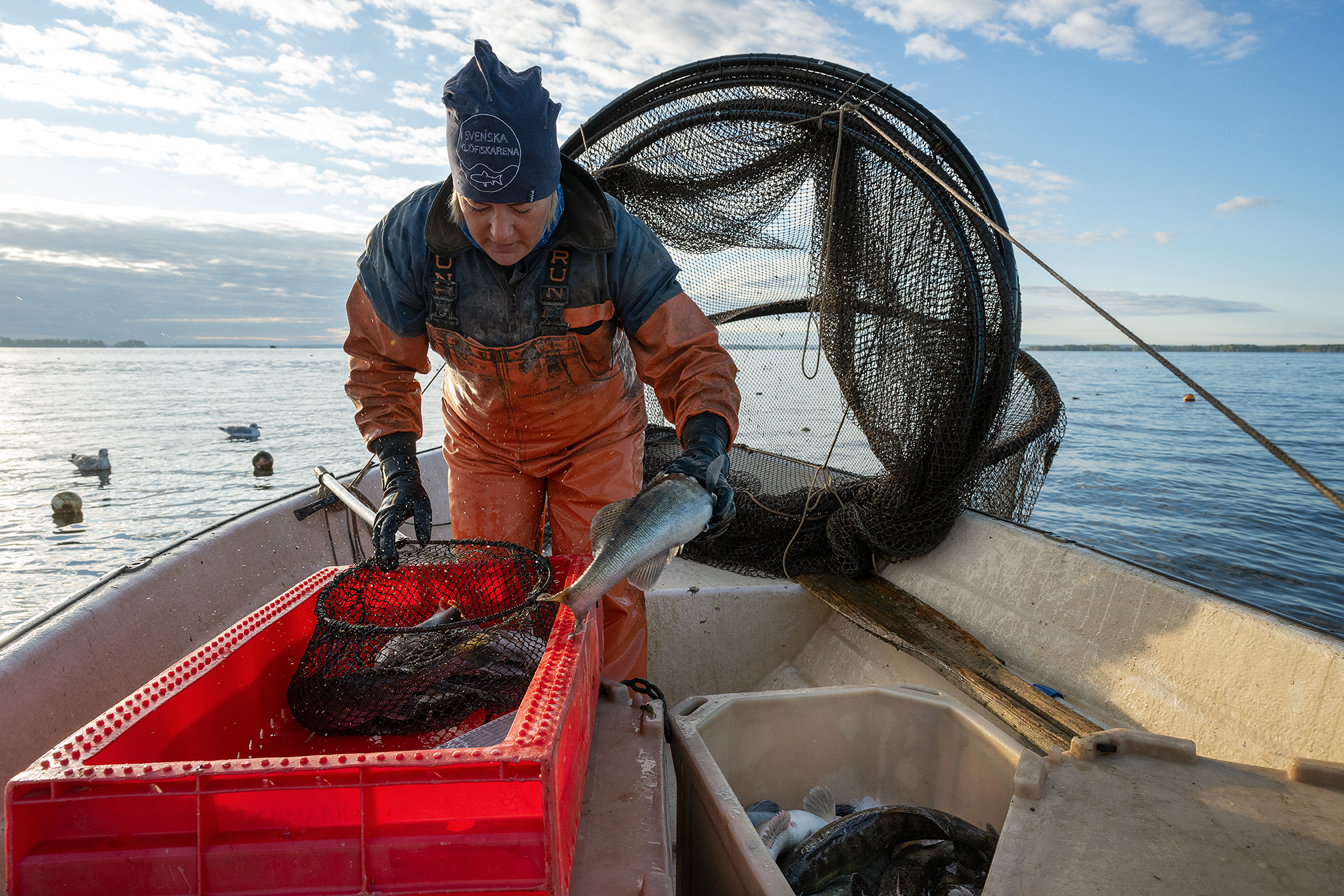 GÖS – tillagning, tillbehör och tänkvärdheter (förhandsbeställning) - Bild 11