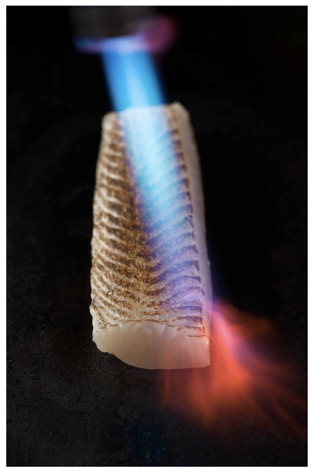 GÖS – tillagning, tillbehör och tänkvärdheter (förhandsbeställning) - Bild 19